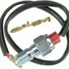 SINGLE BANJO BOLT WITH BRAKELIGHT SWITCH CHROME M10x1,00 Reapris