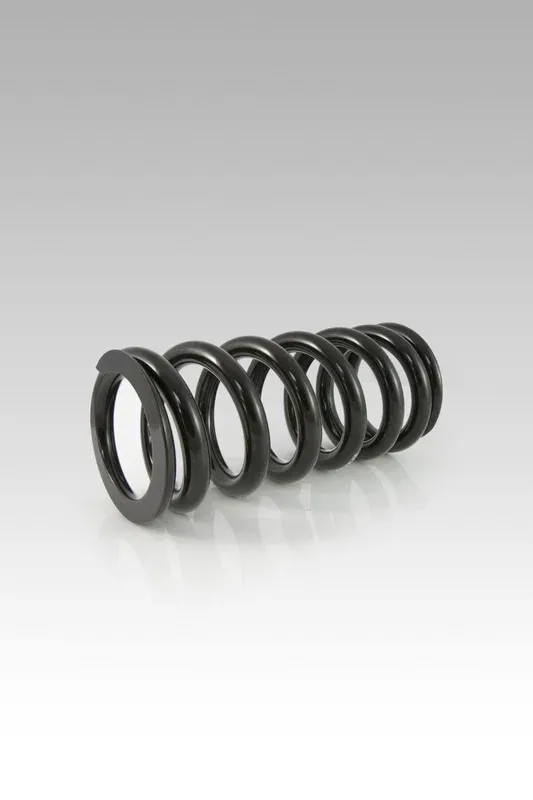 RR SHOCK SPR LOW KIT -30MM KAW Outlet